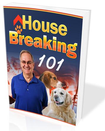 dog house breaking 101