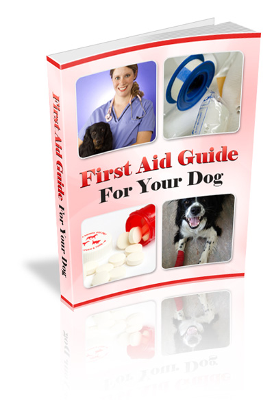 first aid guide for dogs