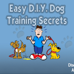 DIY Dog Training Secrets Scam