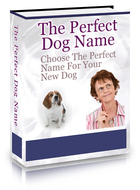 dog name guide