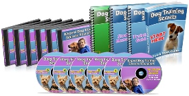 dog training masters review
