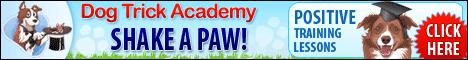 dog tricks academy banner
