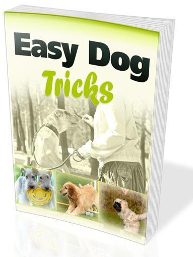 easy dog tricks
