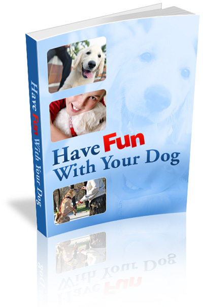 how to have fun with your dog