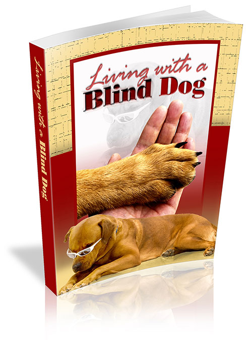 living with a blind dog