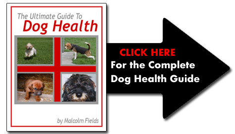 dog health guide