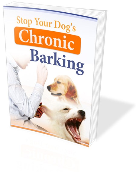 stop your dog chronic barking